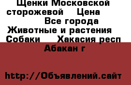 Щенки Московской сторожевой  › Цена ­ 25 000 - Все города Животные и растения » Собаки   . Хакасия респ.,Абакан г.